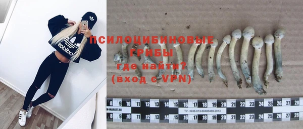 мяу мяу мука Переславль-Залесский