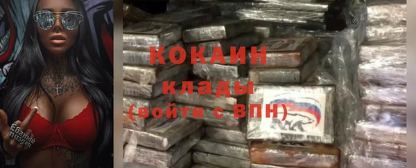 Альфа ПВП Пересвет