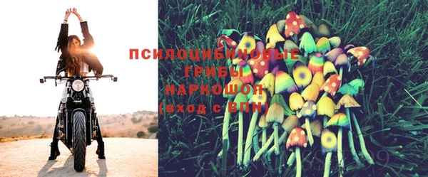 дживик Пестово
