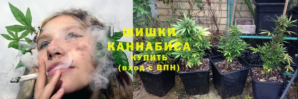 Альфа ПВП Пересвет