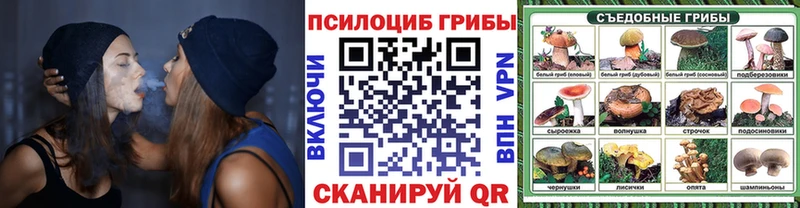 магазин    Севск  Галлюциногенные грибы Psilocybe 